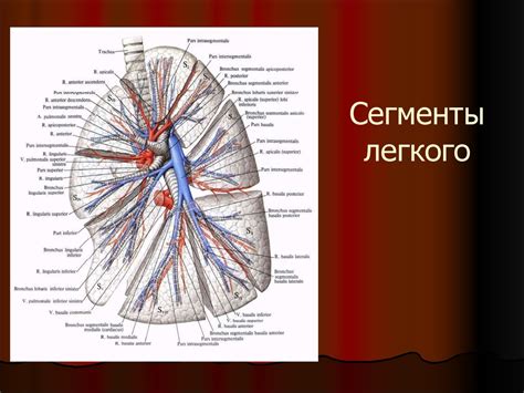 Гнойные заболевания легких и плевры - презентация онлайн