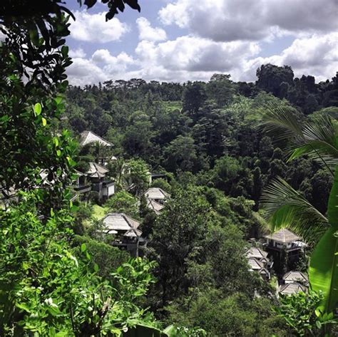 Ubud Hanging Gardens, Bali | We Heart