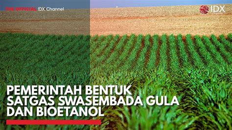 Pemerintah Bentuk Satgas Swasembada Gula Dan Bioetanol Idx Channel