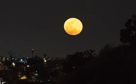 La Luna Rosa Iluminar Abril Te Decimos Cu Ndo Luna Rosa Luna Decir No