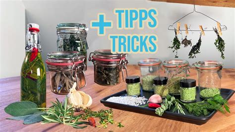 Kräuter haltbar machen Rezepte Tipps und Tricks für frische Kräuter