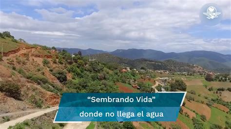 LLevan Sembrando Vida A Un Municipio Sin Agua EnPortada YouTube