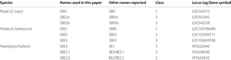 Examples Of Starch Branching Enzyme Sbe Nomenclature Download