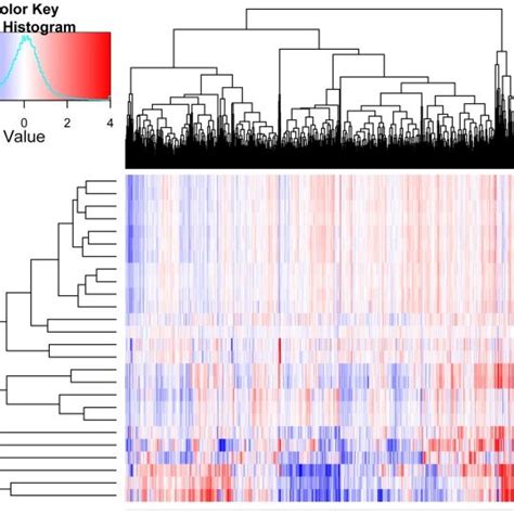 A Two Way Clustering Heat Map Of Chemically Perturbed Expression Download Scientific Diagram