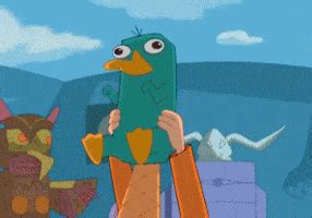 Perry The Platypus GIFs - Find & Share on GIPHY