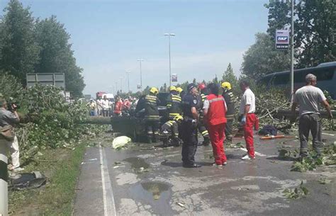 Stablo Smrskalo Auto Poginula Ena Suvoza Te Ko Ozlije En Sata