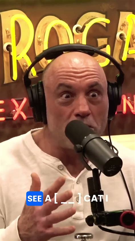 Joe Rogan Talks About The Tiger Encounter In Nyc Joerogan Youtube