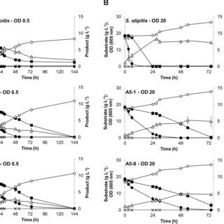 Schematic Representation Of The Adaptive Evolution Experiment Sc