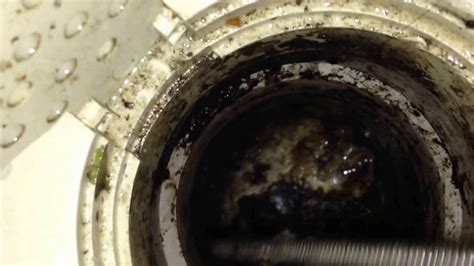 Kitchen Sink Clogged After Trap Besto Blog