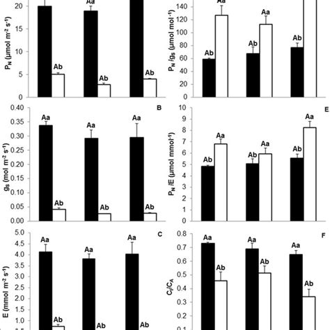 Net Photosynthetic Rate Pn A Stomatal Conductance Gs B