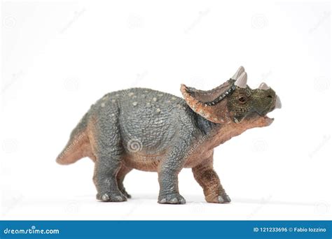 Baby Triceratops On Jurassic Background Royalty Free Stock Photography