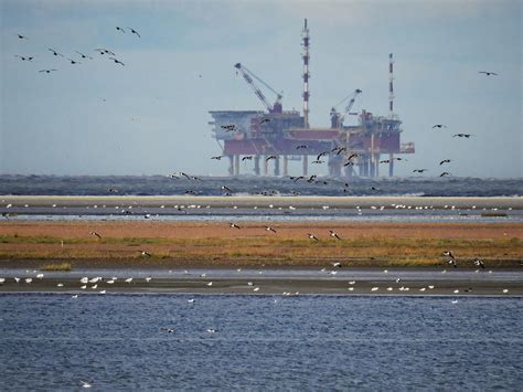 present  future   north sea oil