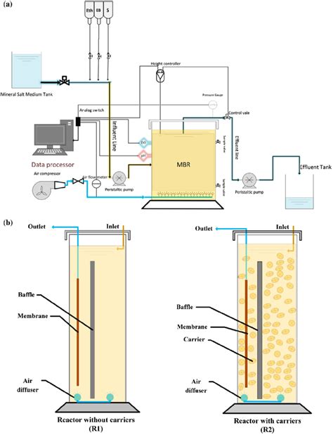 A Schematic Process Flow Diagram And B Side View Of The Two