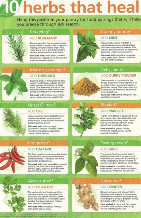 Infographic 10 Herbs That Heal Healing Herbs Herbs Healing Food