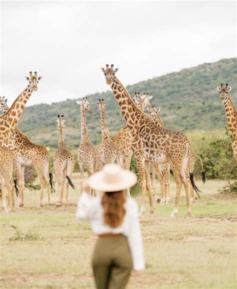 Luxury Masai Mara Safari Camp And Spa Bushtops