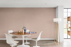 Fallen Burr Warm Neutral Find Products In This Colour Dulux