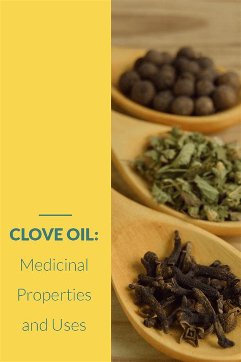 Clove Oil Medicinal Properties And Uses Artofit