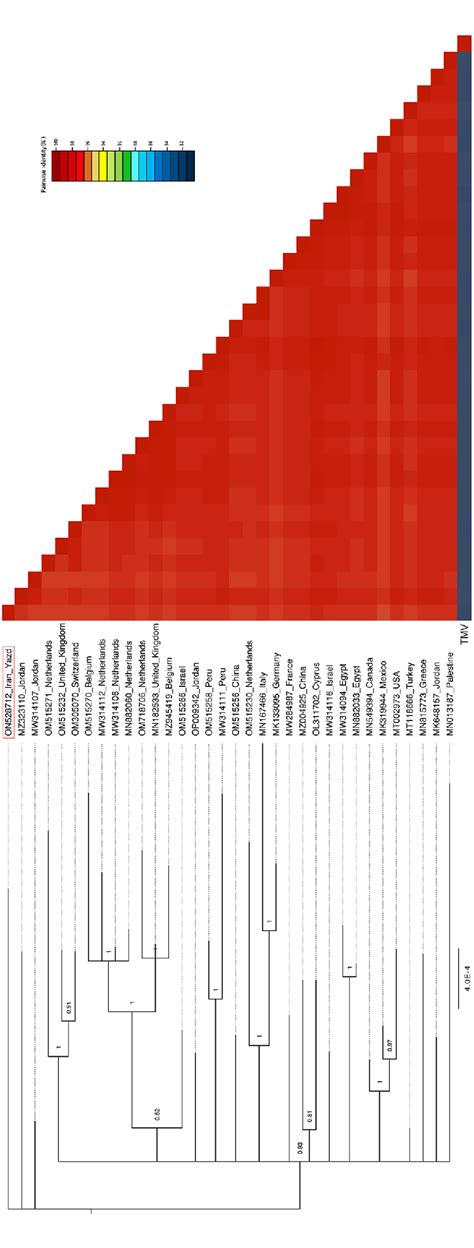 A Bayesian Phylogenetic Tree Based On The Complete Nucleotide Sequences