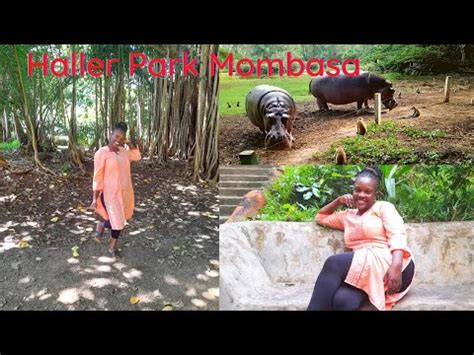 Bamburi Haller Park Visit Mombasa Vlog Part 2 YouTube