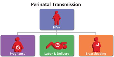 Perinatal Transmission