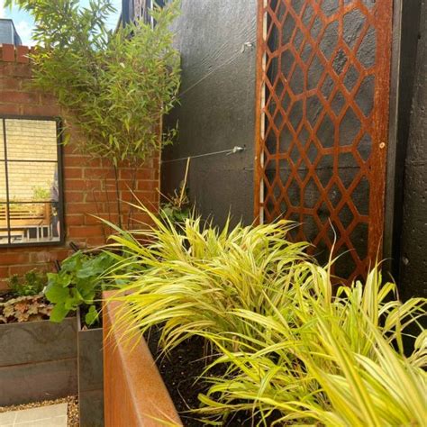 Small Courtyard Garden Hollandscapes