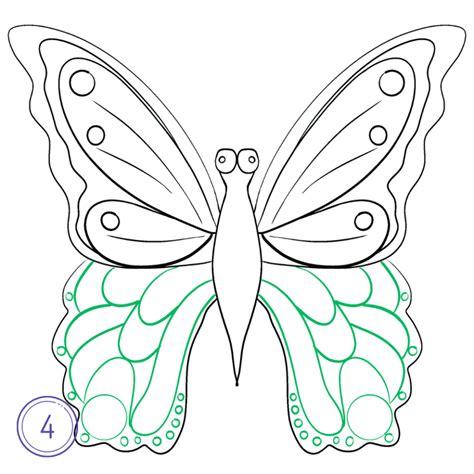 How To Draw A Butterfly Step By Step How To Mimi Panda