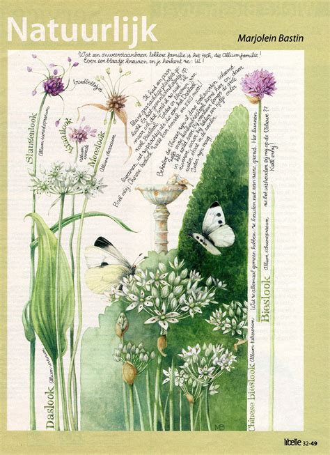 Marjolein Bastin My Collection Nature Nature Sketch Nature Drawing