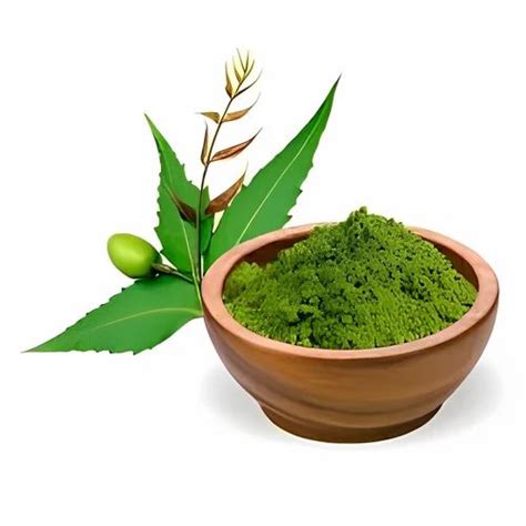 Neem Leaf Powder At Rs 100 Kg 9A VKI Area Sikar Road Jaipur ID