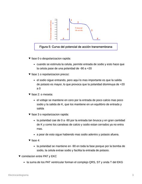 SOLUTION Introducci N A Electrocardiograma Studypool