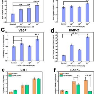 Genes Expression Of BMSCs Stimulated By ASP VI A D ALP RUNX2 VEGF