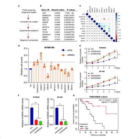 Identification Of Kdm D As A Prognostic Factor For Escc A