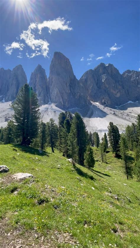 Summer in the alps summer holidays mountains nature forest – Artofit