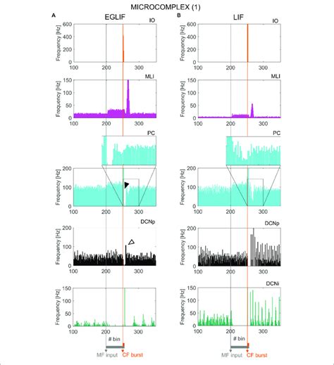 PSTH Of IO MLI PC And DCN Neurons In Microcomplex 1 In EGLIF SNN