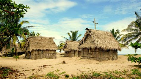 Las Casas Típicas De Los Garifunas Comunidades Indígenas Casas