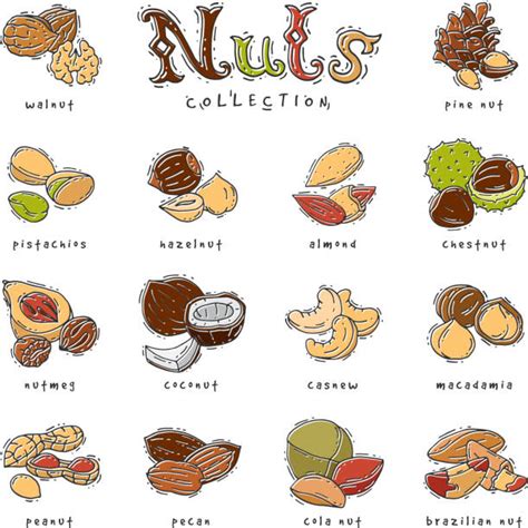 Pile Of Peanuts Isolated Illustrations Royalty Free Vector Graphics