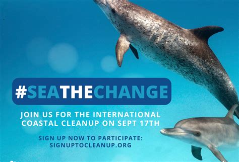 International Coastal Clean Up September 2022 Medies