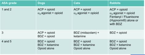 Sedation Flashcards Quizlet