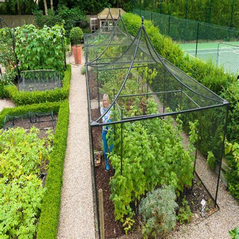 Buy Peak Roof Steel Fruit Cage Online Plants Plant Care