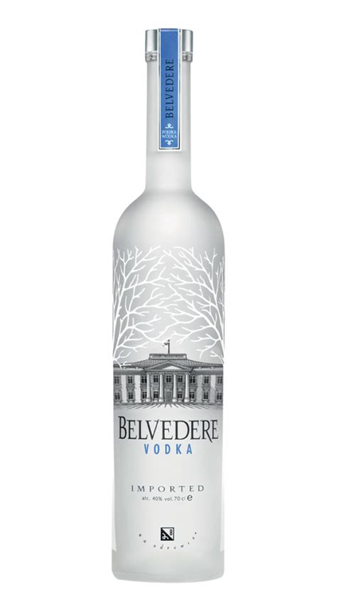 Vodka bottle PNG image