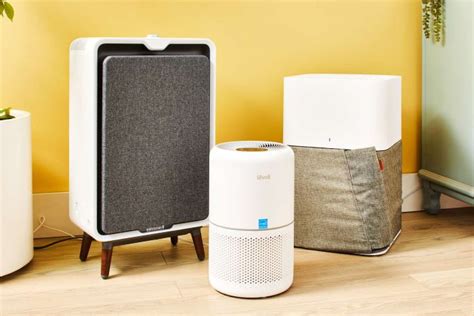 Best Air Purifiers for Mold & Allergies