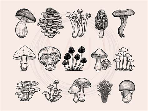 Mushroom Svg Bundle Fungus Svg Bundle Mushroom Clipart Etsy Australia