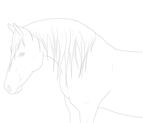 Horse Lineart By Theamethystrider On Deviantart