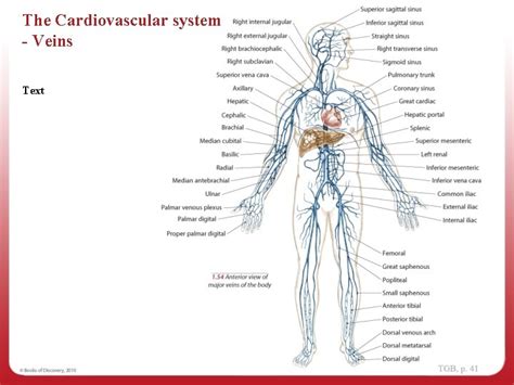 1 Navigating The Body Regions Of The Body