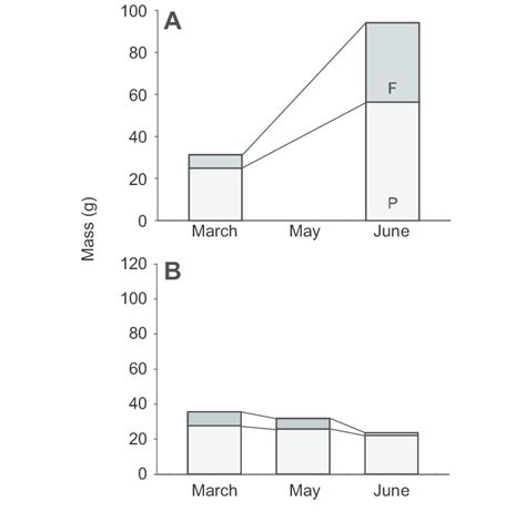 Temporal Change In Masses Of Body Protein Light Grey P And Fat Dark