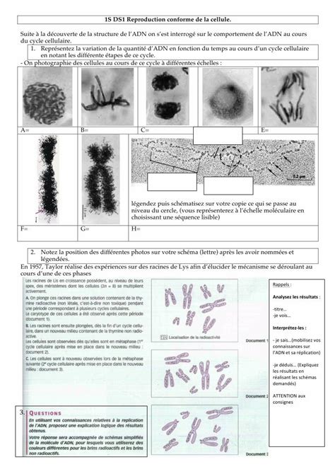 PDF 1S DS1 Reproduction Conforme De La Cellule Beaussier Mayans Free