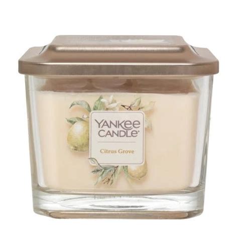 龜山 163 7205 1 YANKEE CANDLE Elevation Jar M Citrus Gloves K0720501