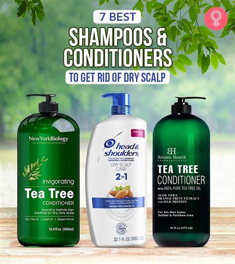 7 Best Shampoos And Conditioners To Get Rid Of Dry Scalp