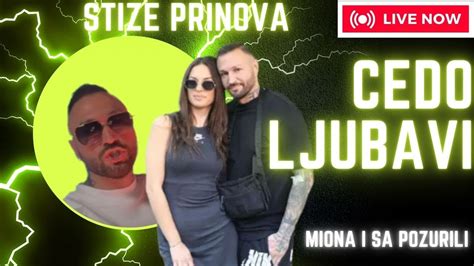 Stize Prinova Miona Jovanovic I Nenad Aleksica Sa Nisu Casili Casa