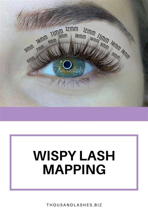 A Comprehensive Guide To Lash Mapping Lashes Wispy Lashes Velour Lashes