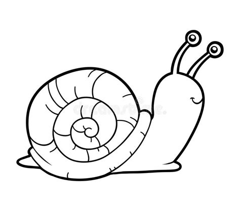 Snail Shell Coloring Page Coloring Pages